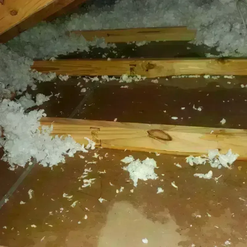 Attic Water Damage in North Auburn, CA