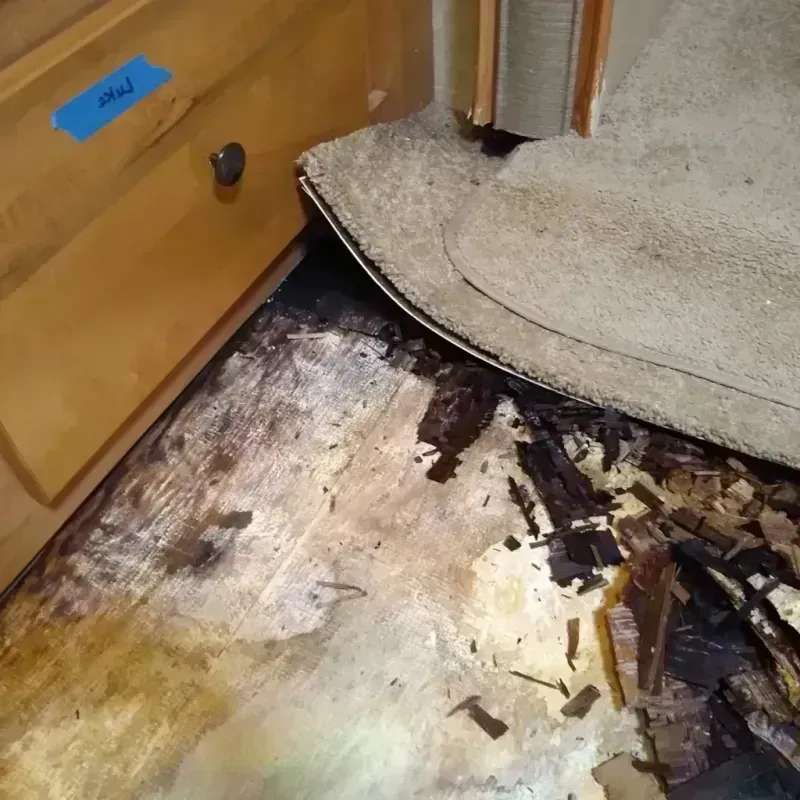 Wood Floor Water Damage in North Auburn, CA